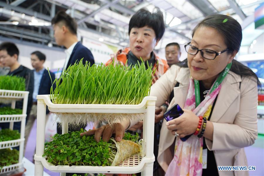 17th China Int'l Agricultural Trade Fair Kicks off in Jiang